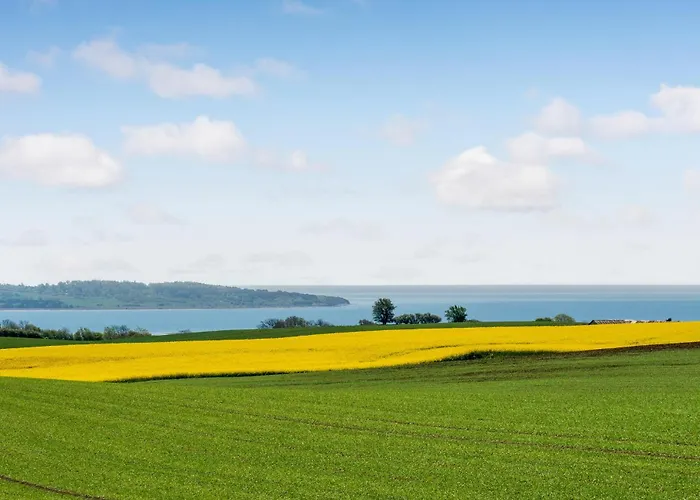 Stunning In With Sauna